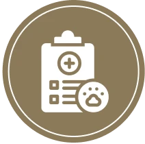 Equine Veterinary Services