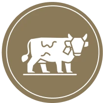 Large Animal & Cattle Services