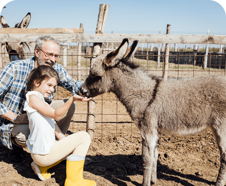 Child and adult with donkey at farm