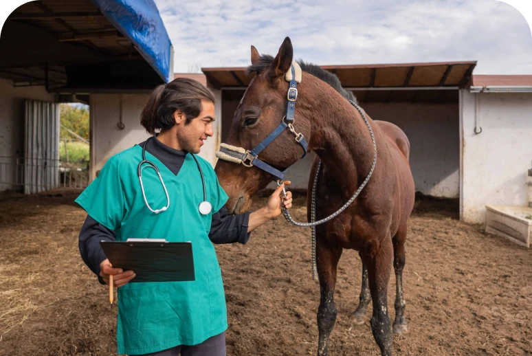 Vet with stethoscope and horse outdoors