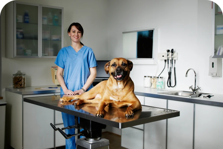 Smiling vet and dog on table