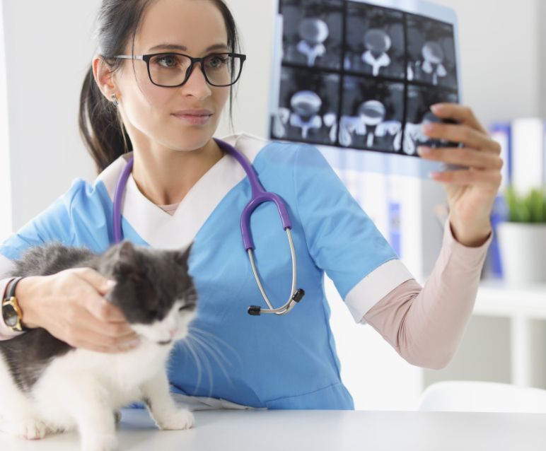 imresizer-GettyImages-1354171354